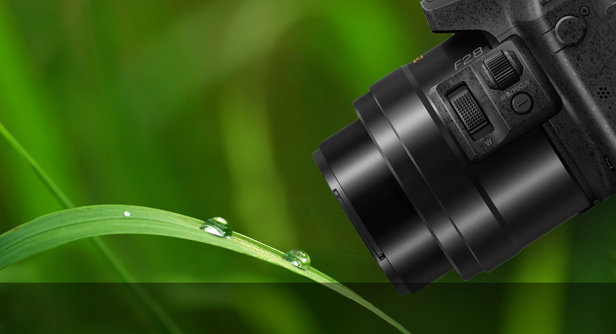 Makrofotografering på nära håll.
