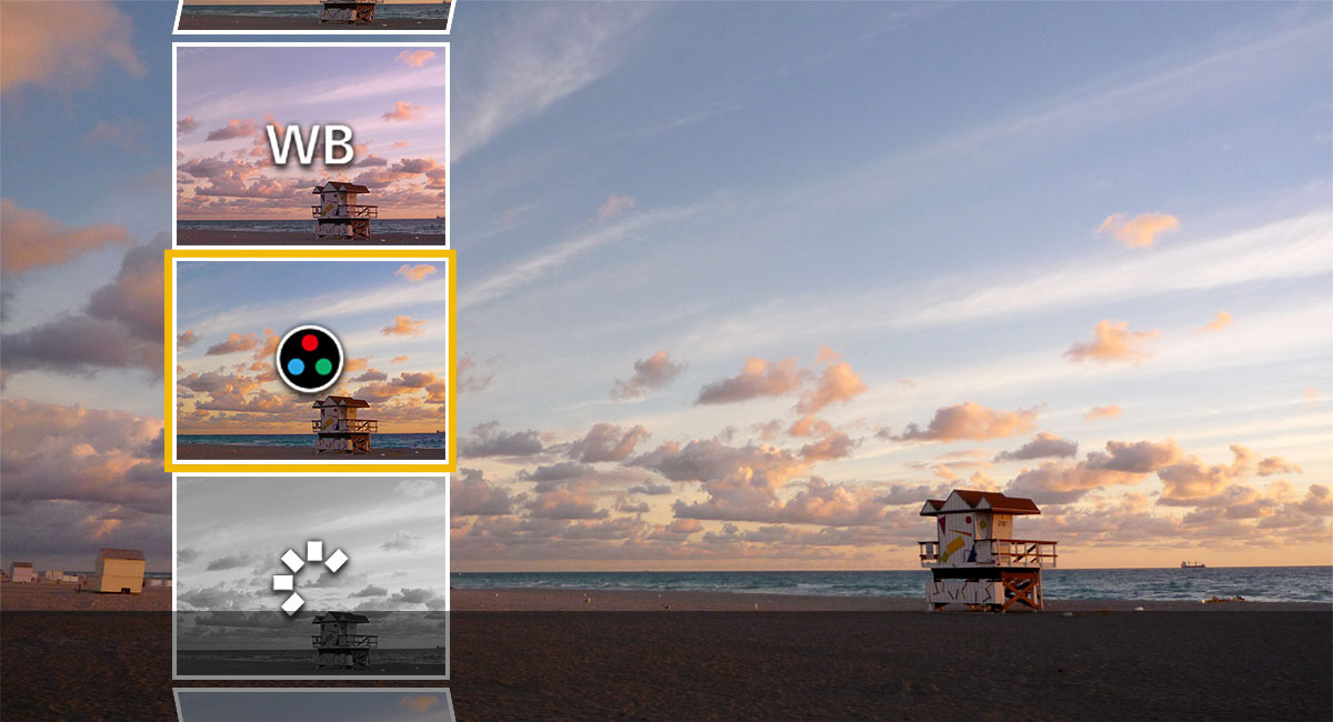 RAW-konvertering direkt i kameran

