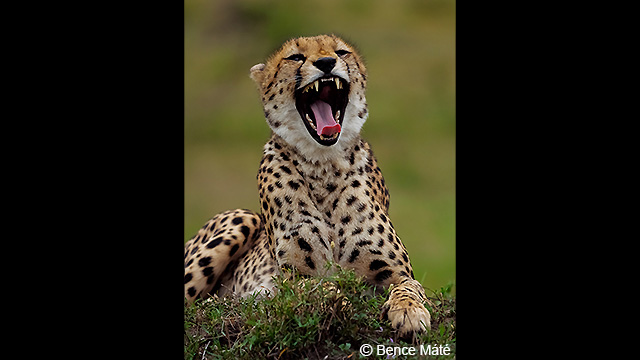 Bli inspirerad - H-ES200 LUMIX G Fast Brännvidd