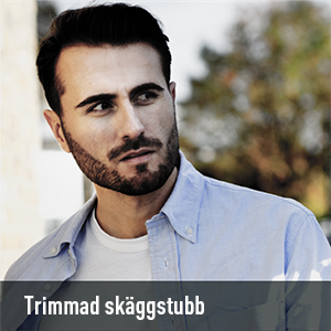 Trimmad skäggstubb