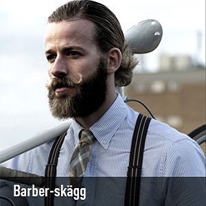 Barber-skägg