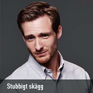 Stubbigt skägg