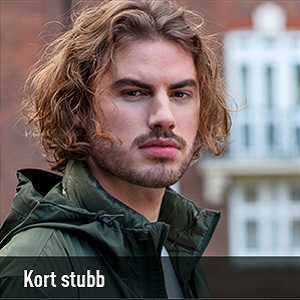 Kort stubb