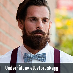 Underhåll av ett stort skägg