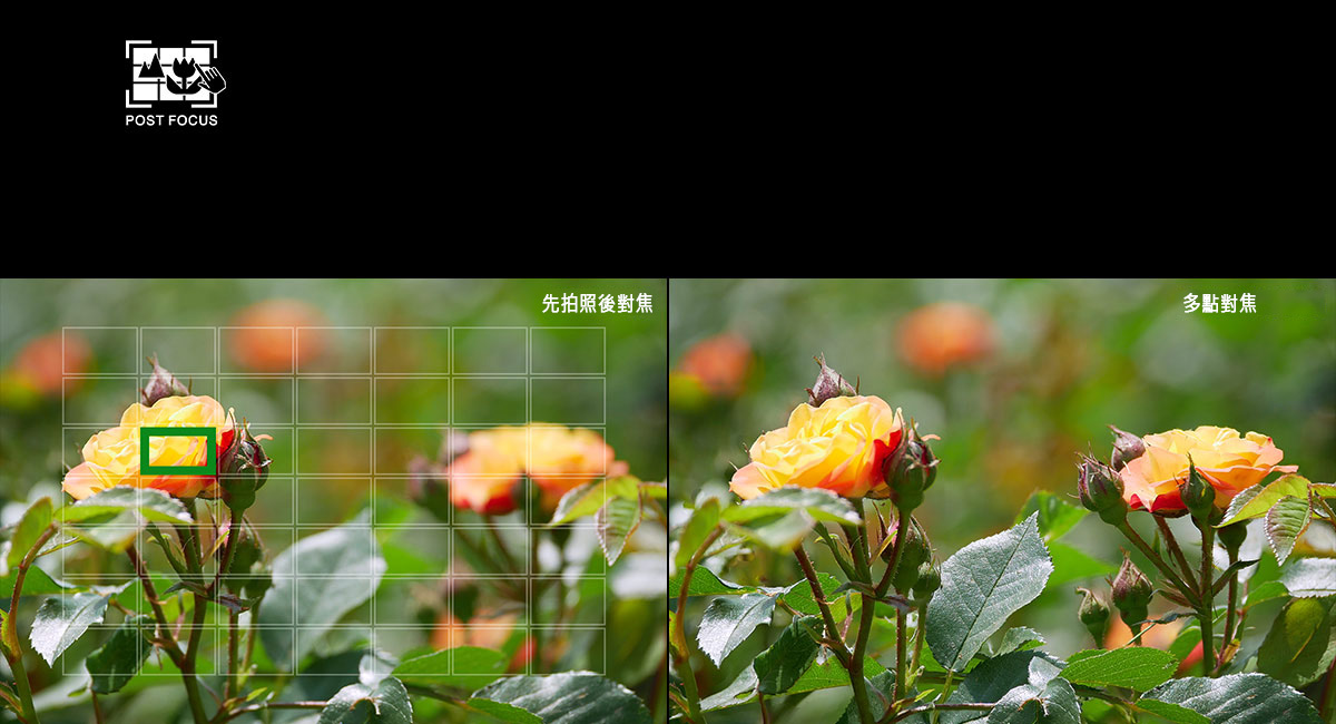 先拍照後對焦/多點對焦