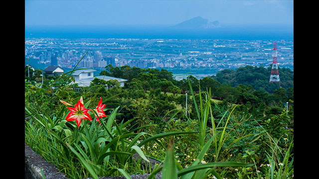 影音圖片集 - LUMIX 數位相機 DC-FZ10002