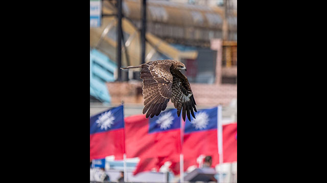 影音圖片集 - LUMIX 數位相機 DC-FZ10002