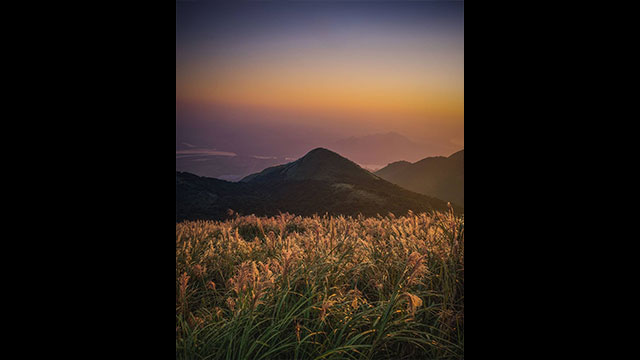 影音圖片集 - LUMIX 數位相機 DC-FZ10002