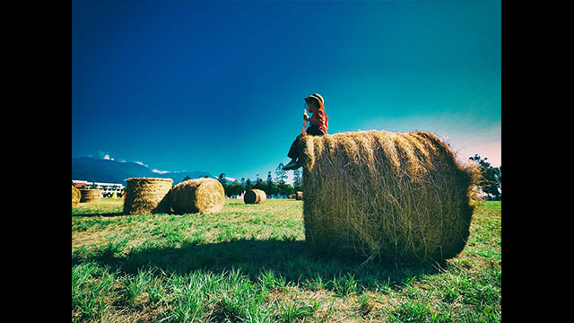 影音圖片集 - LUMIX 數位相機 DC-FZ10002