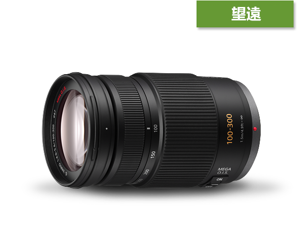 LUMIX G 鏡頭 H-FS100300商品圖