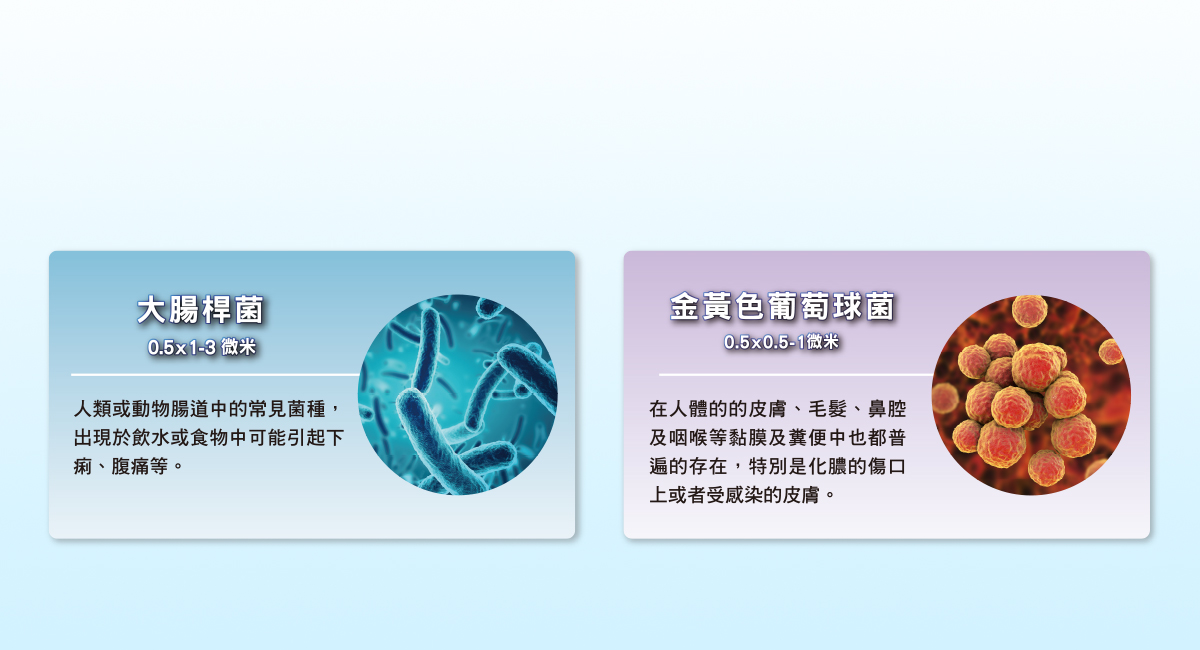 中空絲膜有效除菌*，為您安心把關
