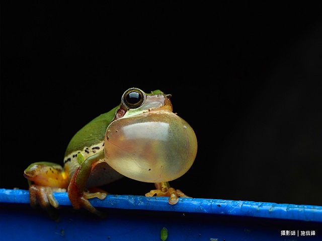 LUMIX G9+GH5S體驗旗艦，從此刻開始