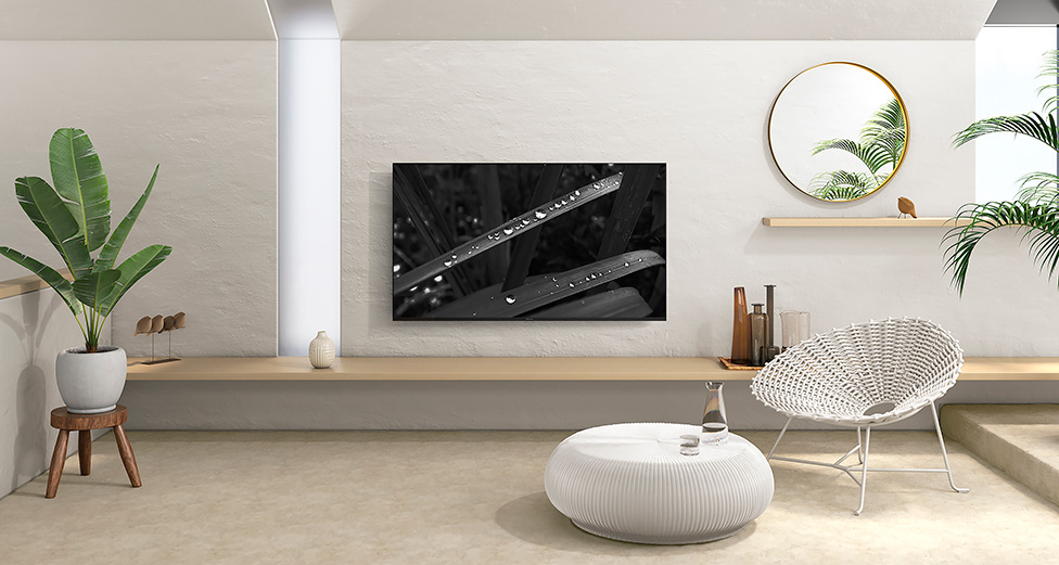 Panasonic Smart 4K 電視