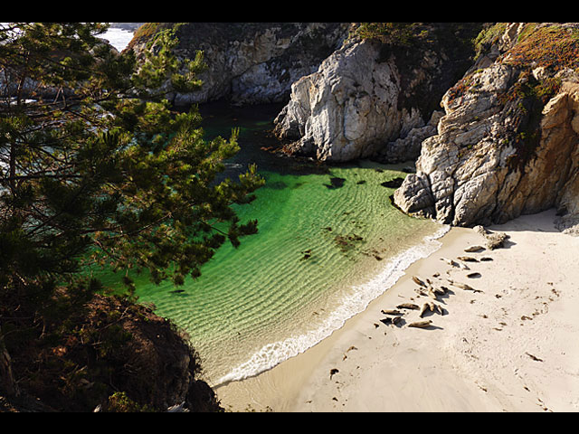 LUMIX DMC-FZ1000 SPECIAL GALLERY