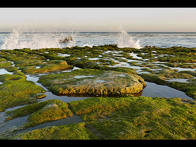 LUMIX DMC-FZ1000 SPECIAL GALLERY