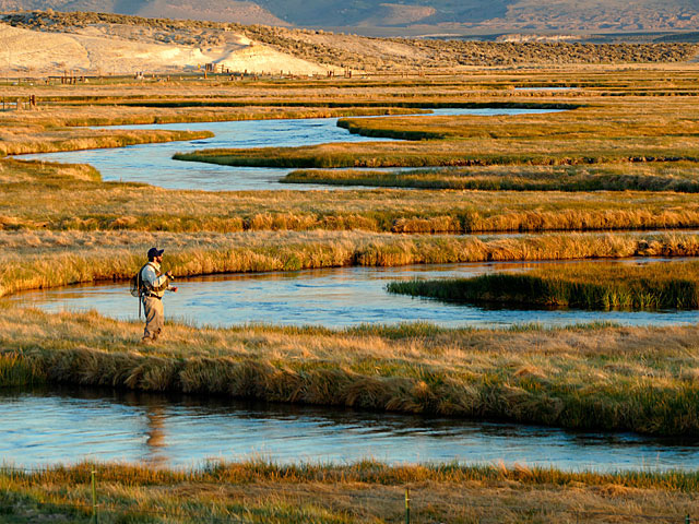 LUMIX DMC-FZ1000 SPECIAL GALLERY