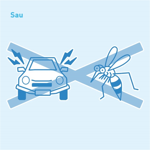 Hình minh họa về việc cấm tiếng ồn do xe cộ và muỗi