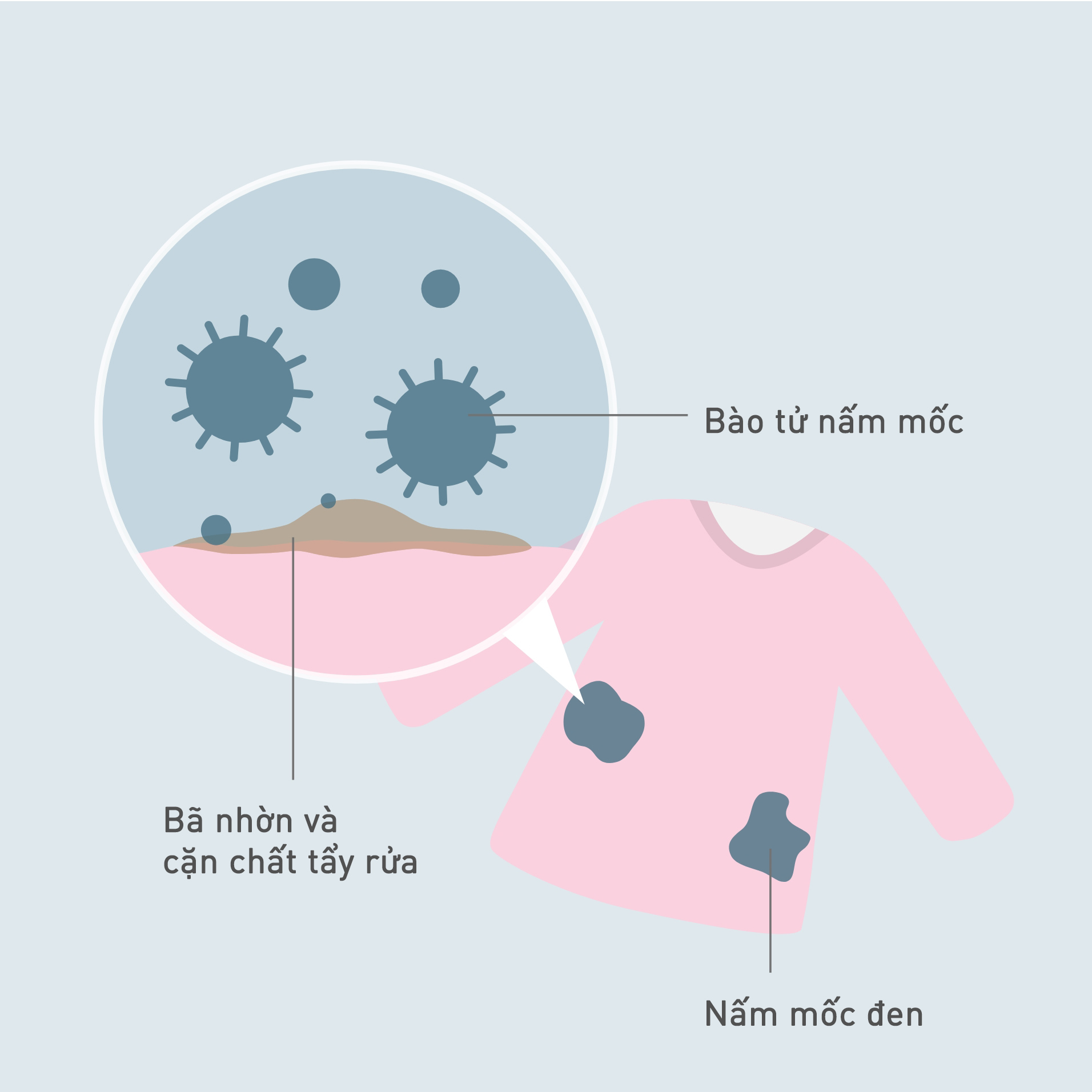Hình minh họa cho thấy nấm mốc đen trên quần áo, hiển thị cận cảnh các bào tử nấm mốc và bã nhờn cùng cặn chất tẩy rửa