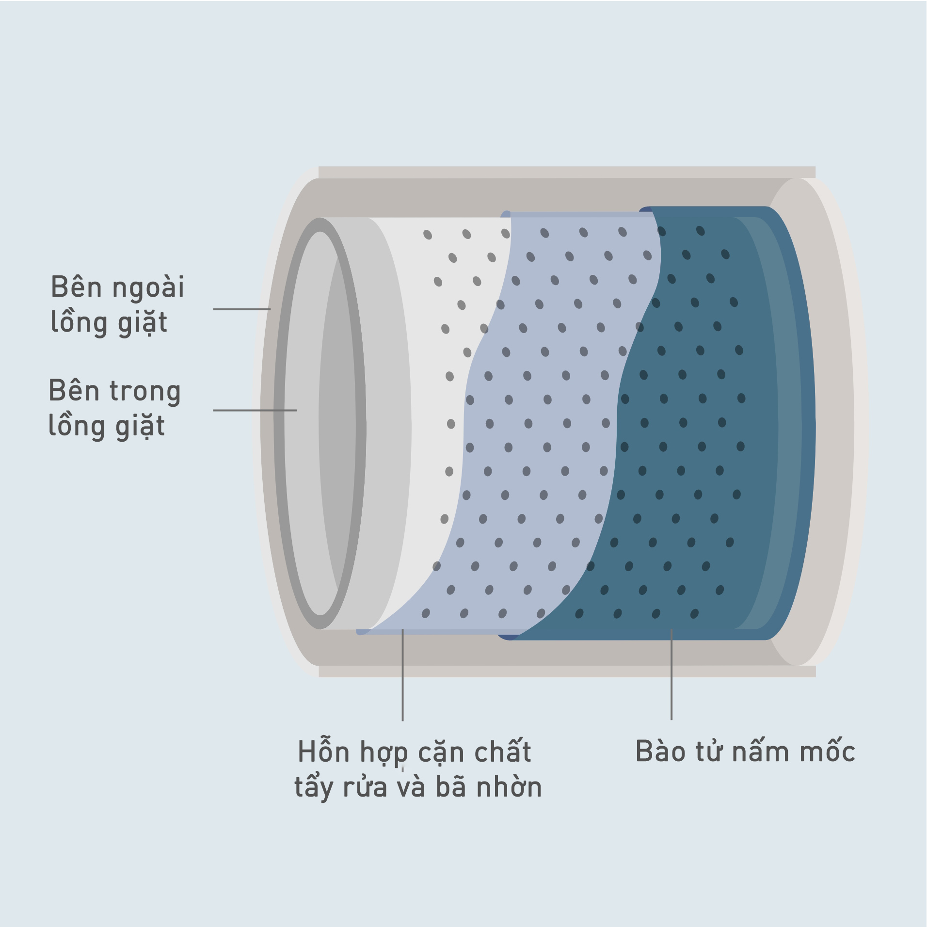 Hình minh họa cho thấy hỗn hợp cặn chất tẩy rửa, bã nhờn và bào tử nấm mốc giữa phần bên trong và bên ngoài lồng giặt