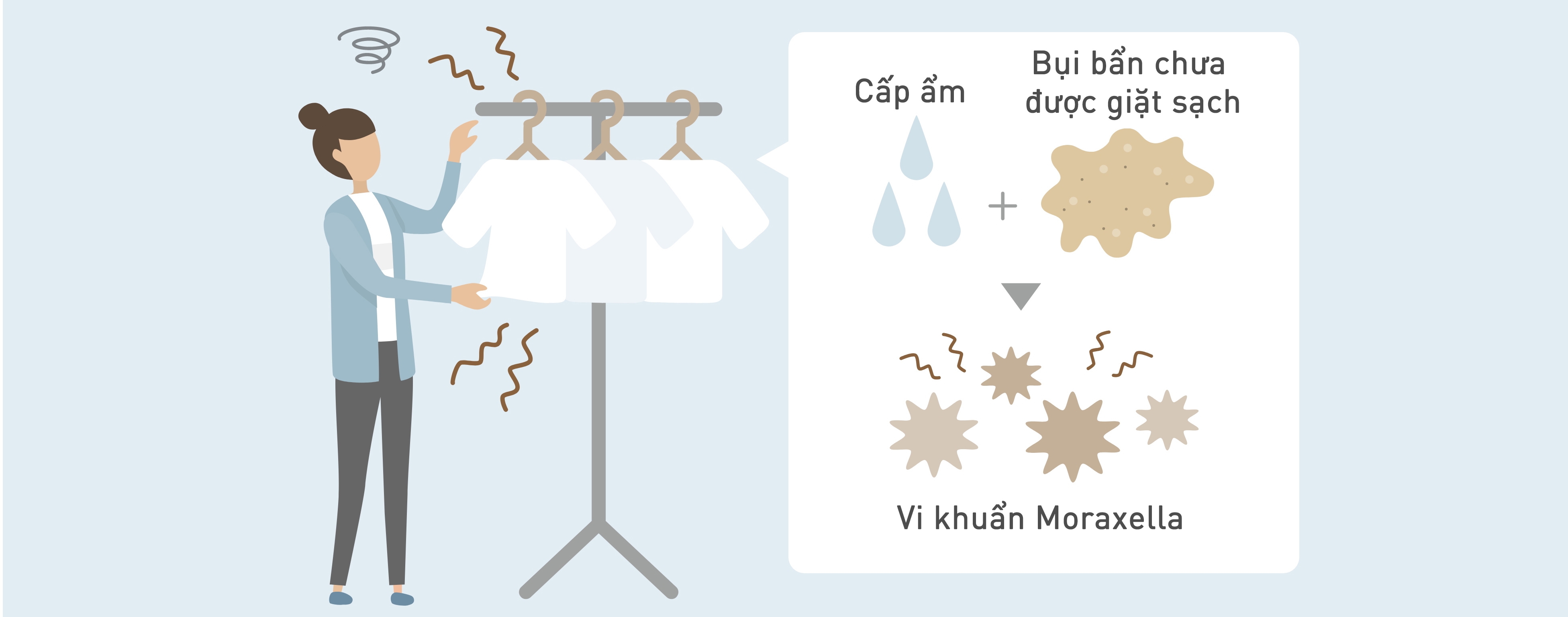 Sơ đồ cho thấy độ ẩm và bụi bẩn chưa được giặt sạch dẫn đến vi khuẩn Moraxella gây mùi hôi.