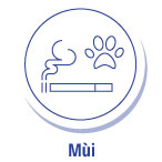 Biểu tượng minh họa cho “Mùi”