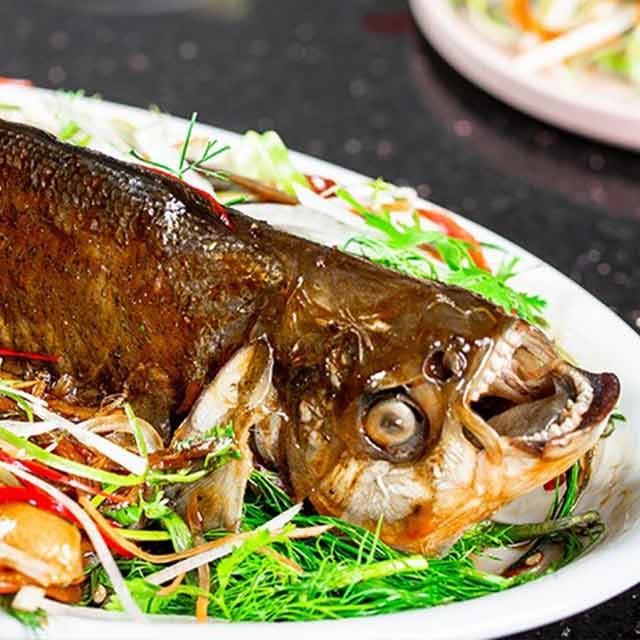 CÁ CHIM HẤP XÌ DẦU See more