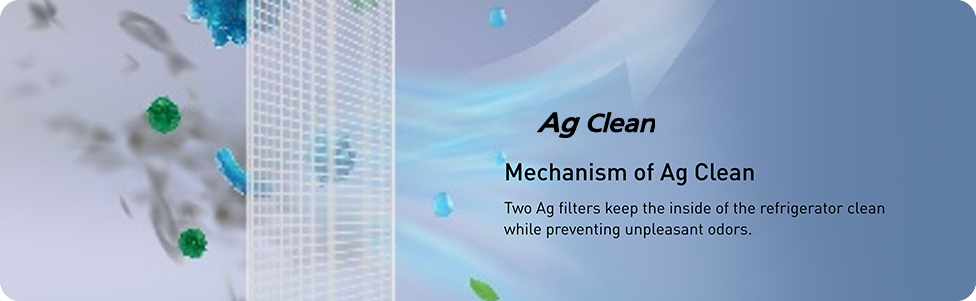 Fight Mould and Bacteria with Silver Ions