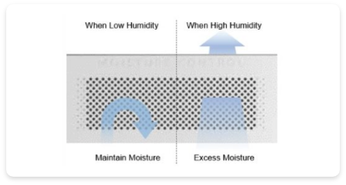 Humidity Control For Ideal Storage