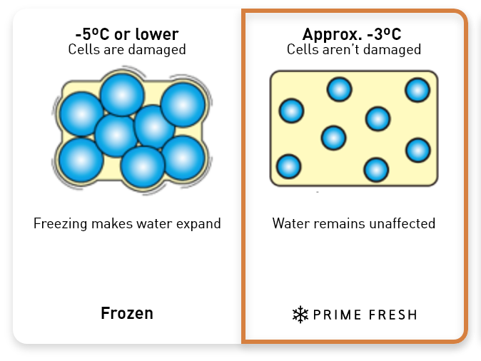 Prevents Cell Damage