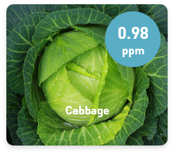 Examples of residual pesticides on vegetables