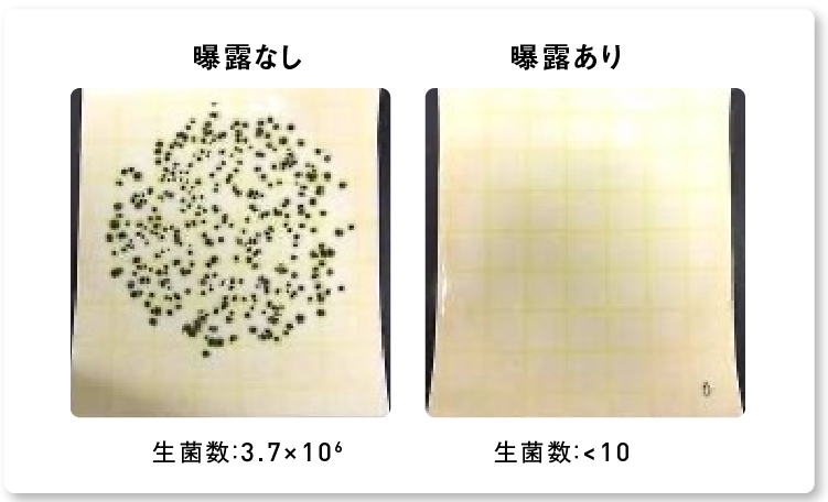 画像：ナノイー（帯電微粒子水）を4時間曝露した後のクロカビの生菌数減少の様子