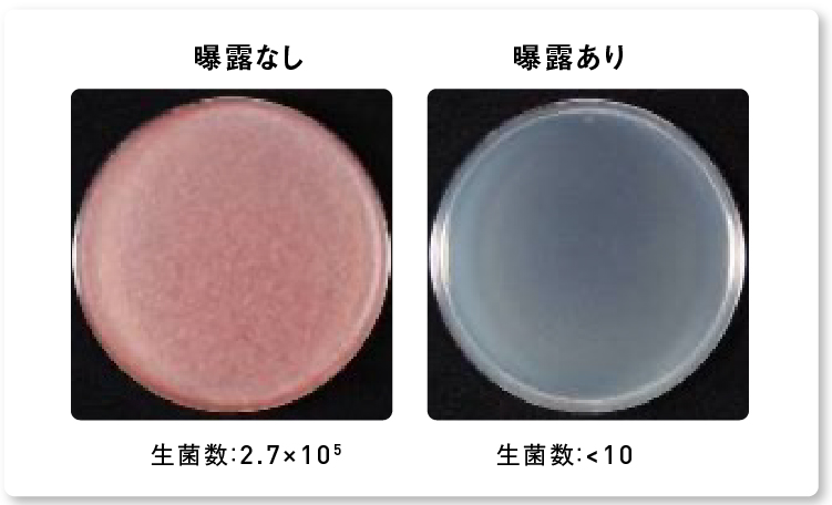 画像：ナノイー（帯電微粒子水）を4時間曝露した後のアカカビの生菌数減少の様子
