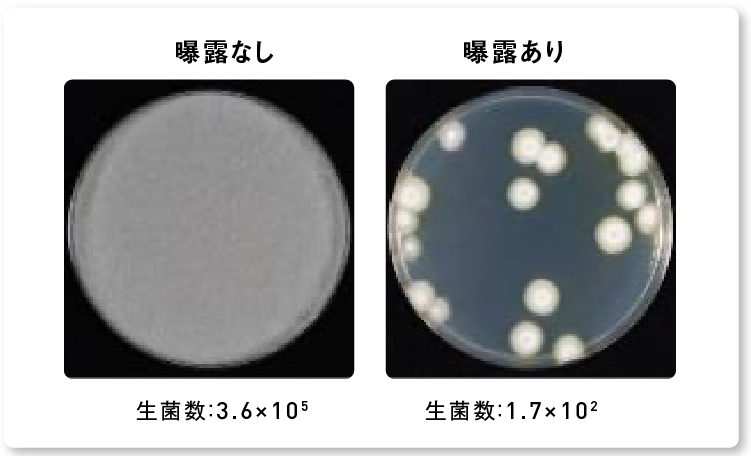 画像：ナノイー（帯電微粒子水）を4時間曝露した後のアオカビの生菌数減少の様子