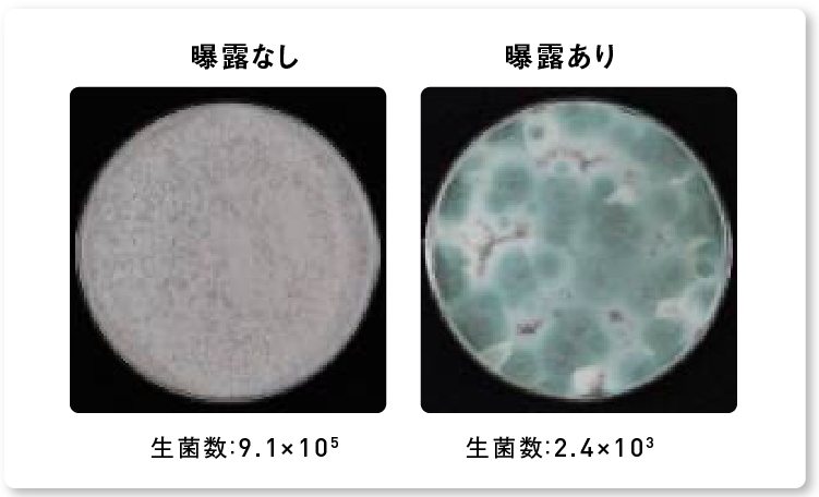 画像：ナノイー（帯電微粒子水）を8時間曝露した後のコウジカビの生菌数減少の様子