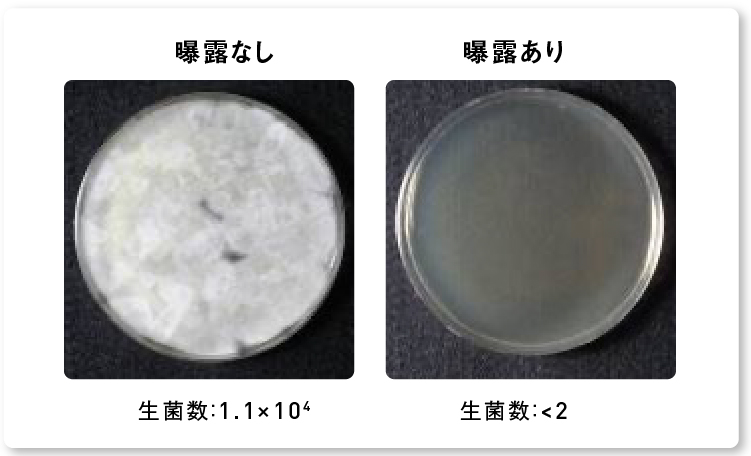 画像：ナノイー（帯電微粒子水）を8時間曝露した後のカワキコウジカビの生菌数減少の様子