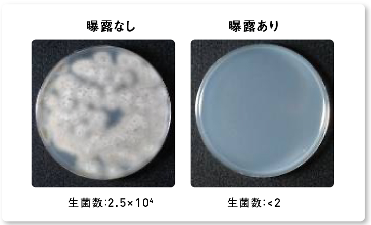 画像：ナノイー（帯電微粒子水）を8時間曝露した後の黒色カビの生菌数減少の様子