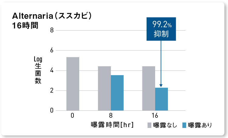 グラフ：ナノイー（帯電微粒子水）を16時間曝露した後のススカビの抑制率99.2%