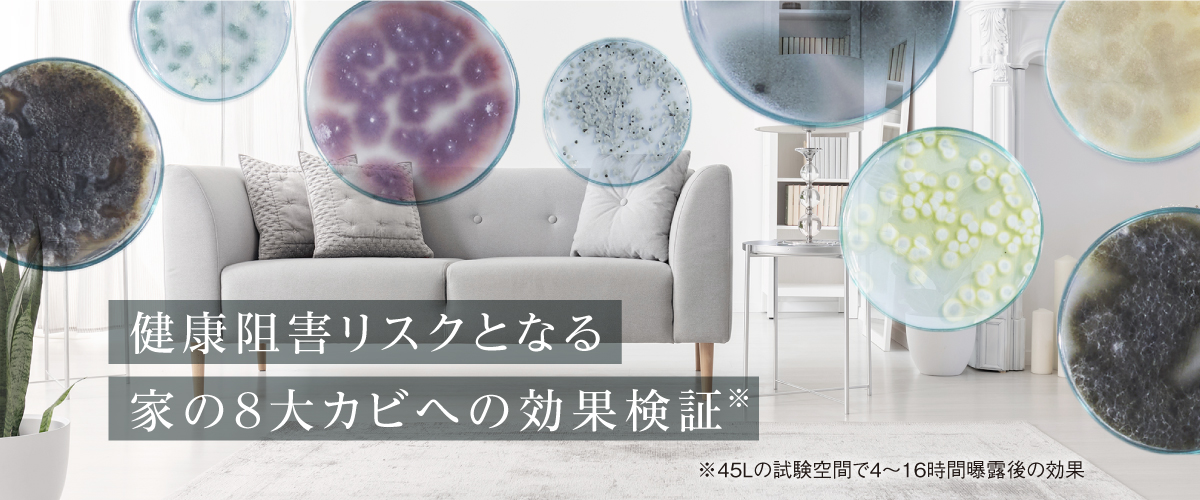 画像：部屋に潜むカビ　テキスト：健康阻害リスクとなる家の8大カビへの効果検証