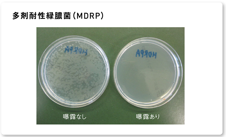 画像：ナノイー（帯電微粒子水）を2時間曝露した後の多剤耐性緑膿菌（MDRP）の生菌数現象の様子