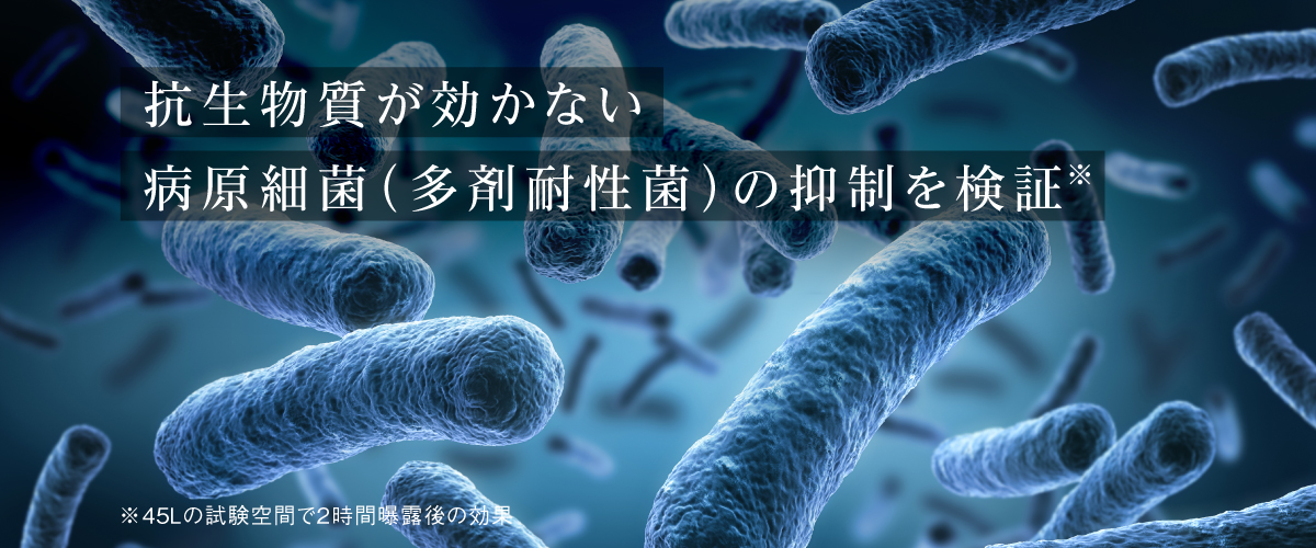 画像：多剤耐性菌イメージ　テキスト：抗生物質が効かない病原細菌（多剤耐性菌）の抑制を検証