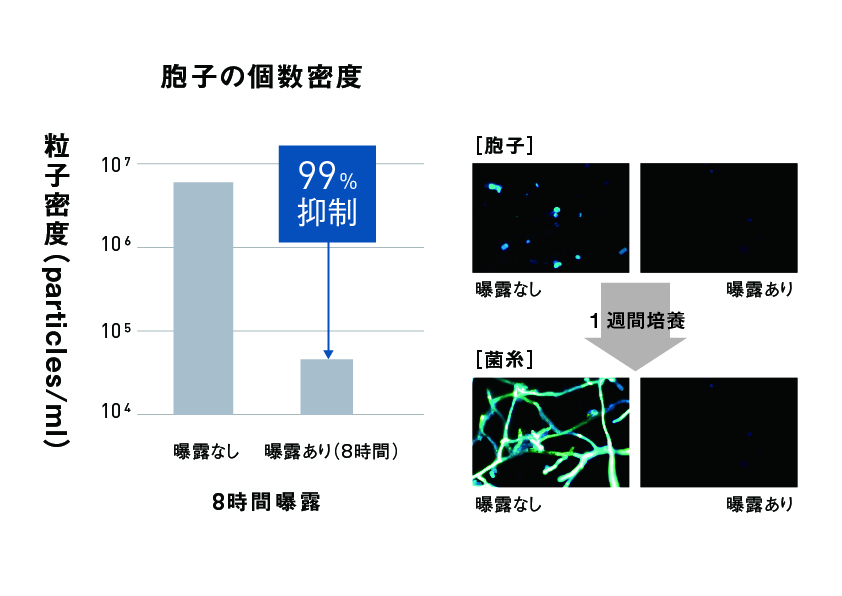 グラフ：ナノイー（帯電微粒子水）を8時間曝露した後のビルカンデラ菌の抑制率 99％