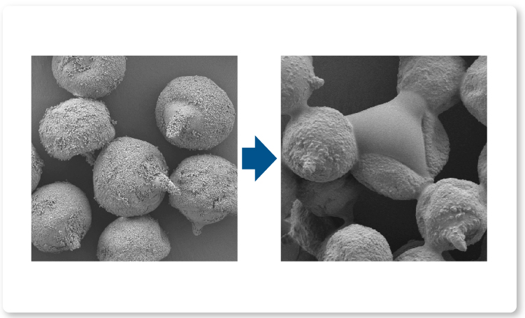 ナノイー（高機能帯電微粒子水）により殻を破られた花粉