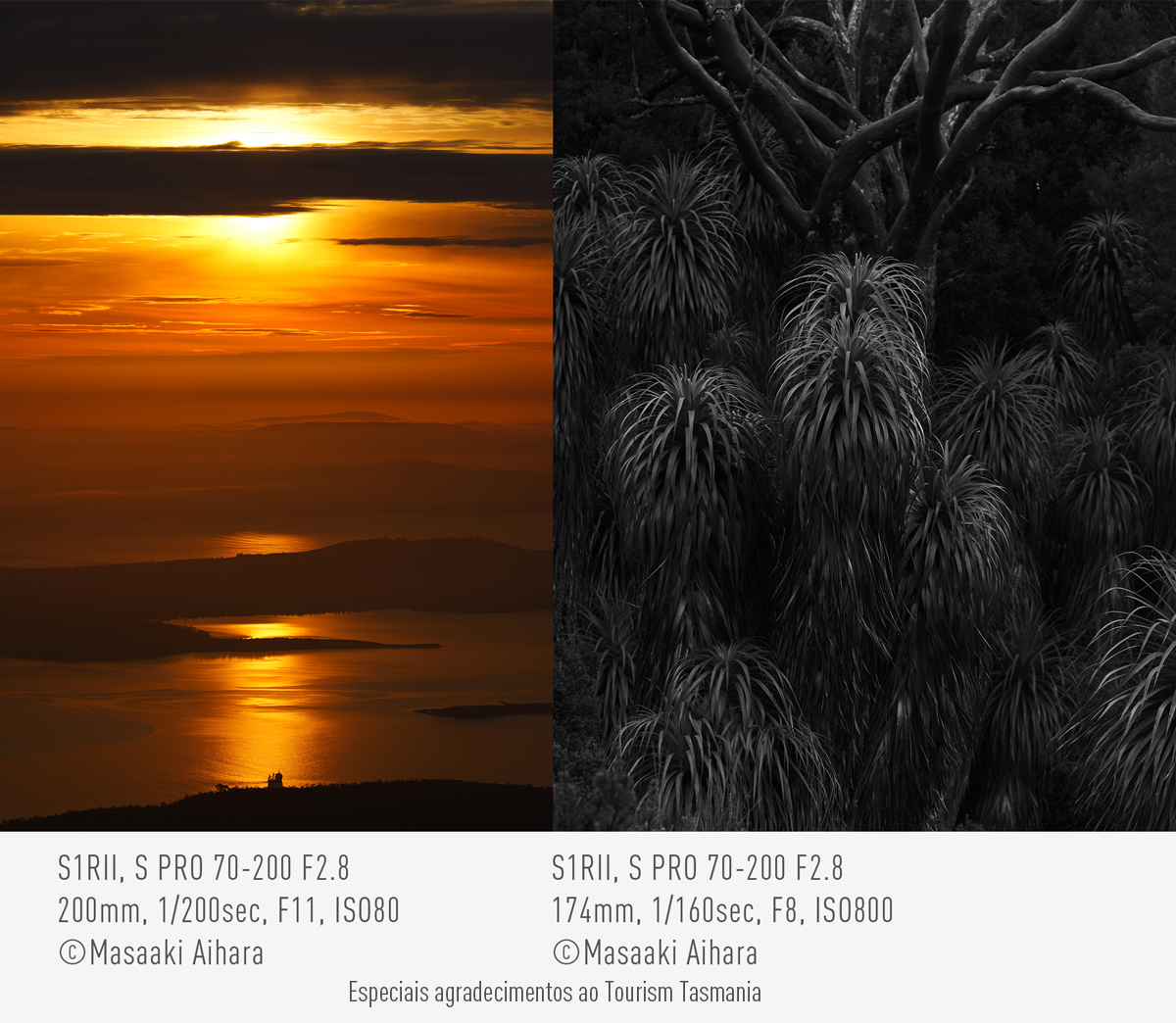 A expressão de cor categórica da LUMIX