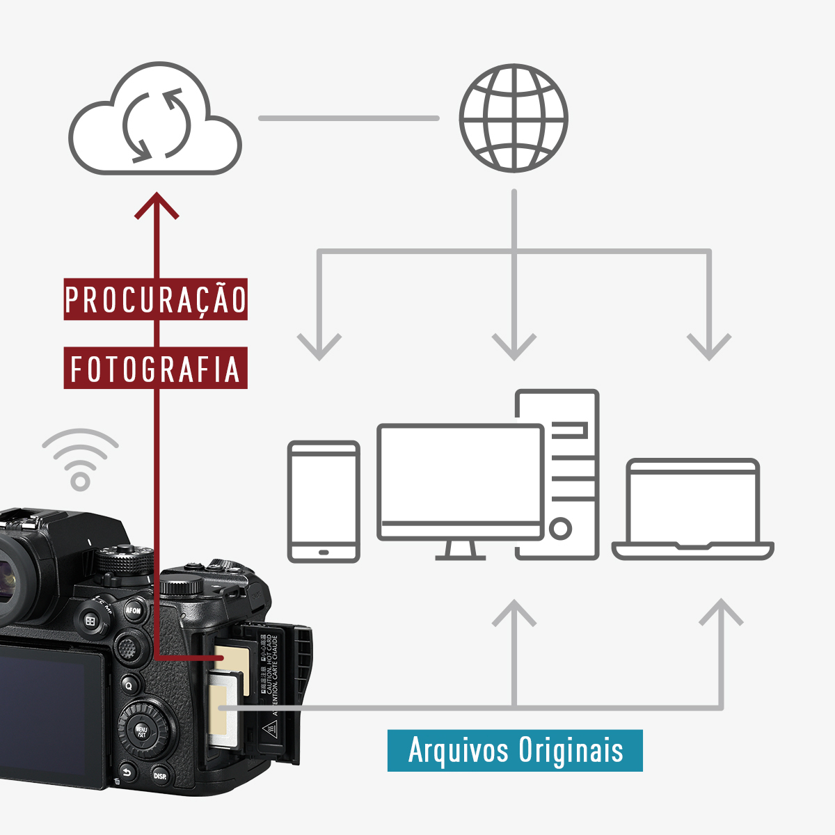 Permite a partilha baseada na cloud e trabalho colaborativo