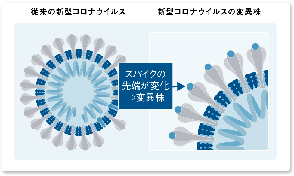 画像：新型コロナウイルスの変異株　スパイクの先端が変化