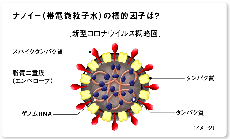 画像：ナノイー（帯電微粒子水）の標的因子（新型コロナウイルス概略図）