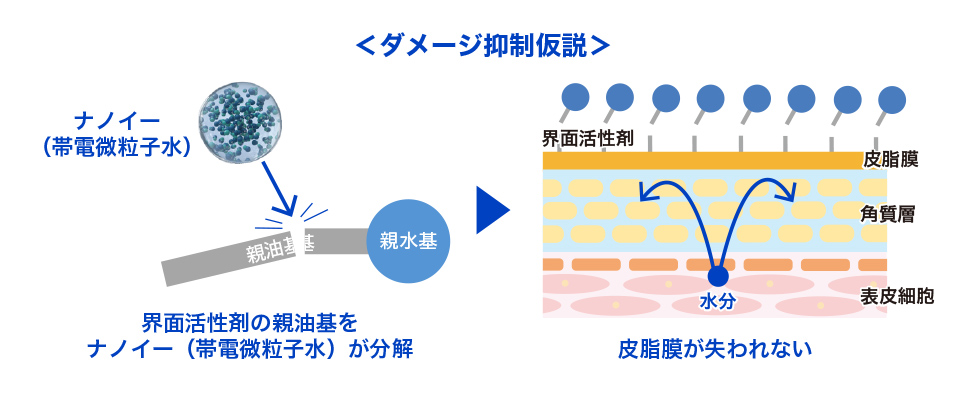画像：ダメージ抑制仮説 界面活性剤の親油基をナノイー（帯電微粒子水）が分解 皮脂膜が失われない