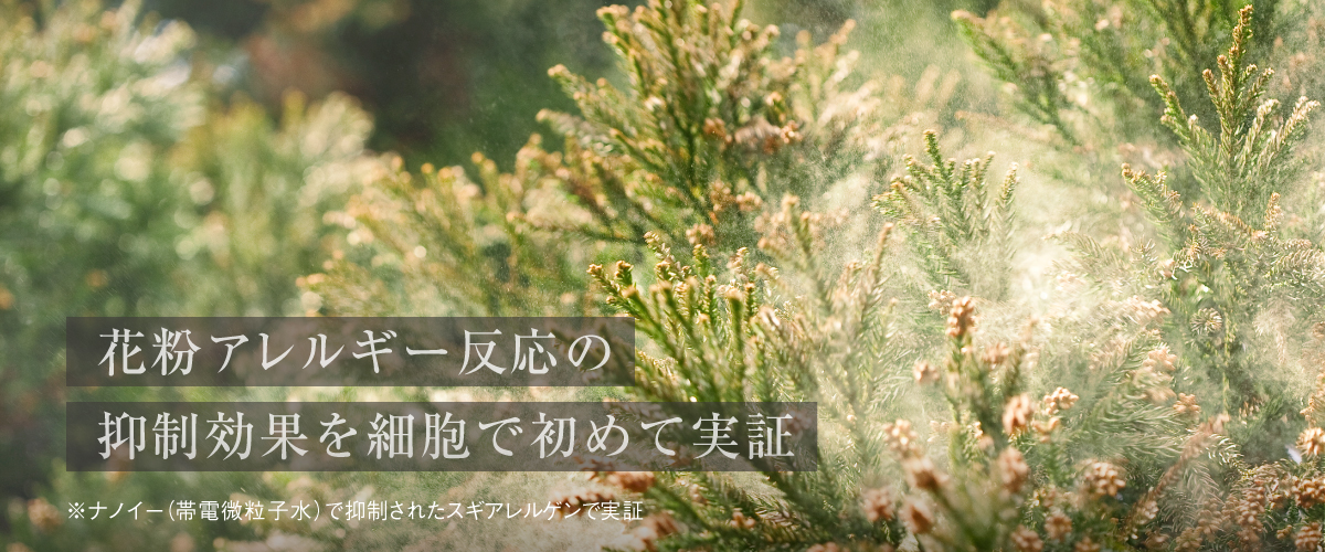 画像：アレルギー反応の抑制効果を細胞で初めて実証