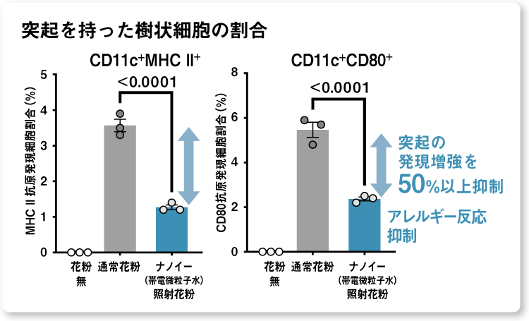 グラフ：樹状細胞の突起発現を50％以上抑制