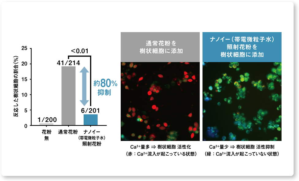 グラフ：樹状細胞における活性化を約80％抑制